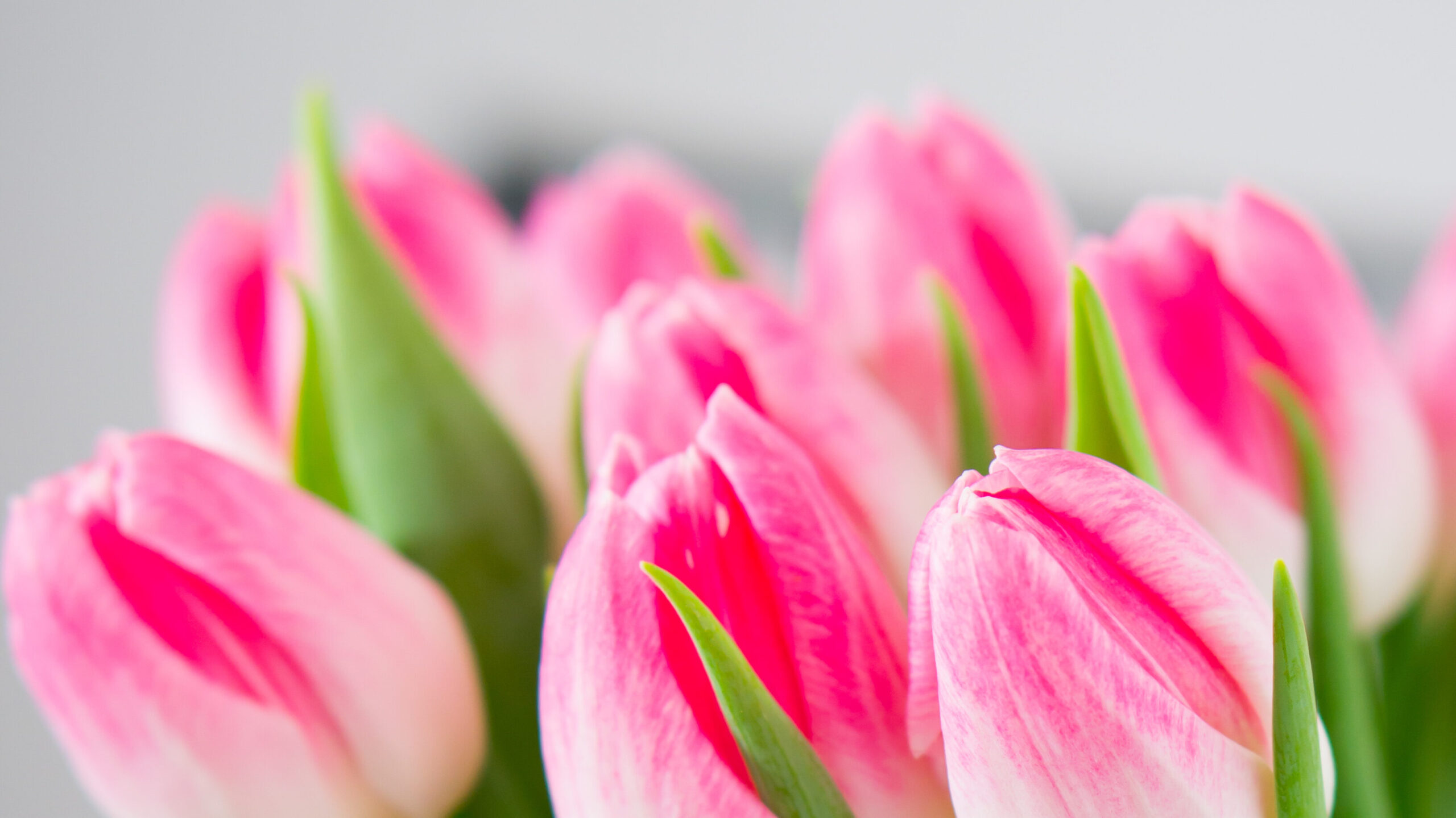 entrega-de-flores-Curitiba