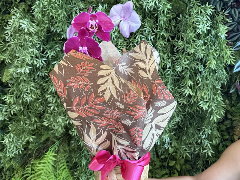 Vasos de Flores no Batel