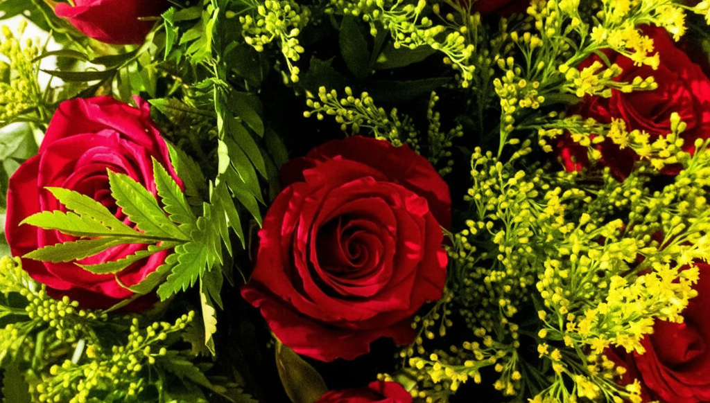 entrega-de-buque-de-rosas-no-batel-sem-estresse