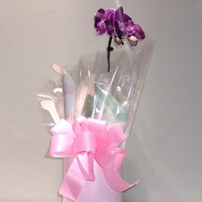 Orquídea cascata em caixa cartonada