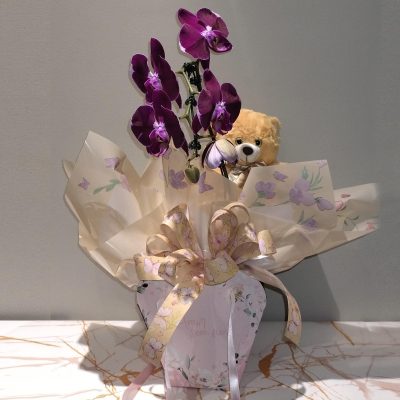 Orquídea cascata com ursinho de pelúcia