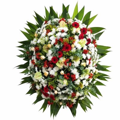 TNBJTJGJTJGZmxvcmljdWx0dXJhY3VyaXRpYmEyNGguY29tJTJGd3AtY29udGVudCUyRnVwbG9hZHMlMkYyMDIzJTJGMDklMkZDb3JvYS1kZS1yb3Nhcy1hbnR1cmlvcy