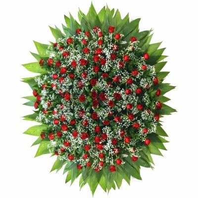 c2VydmljZT1pbWFnZXMmc3JjPWh0dHBzJTNBJTJGJTJGZmxvcmljdWx0dXJhY3VyaXRpYmEyNGguY29tJTJGd3AtY29udGVudCUyRnVwbG9hZHMlMkYyMDIzJTJGMDklMkZDb3JvYS1yb3NhLTEzMHgxNzAtYS5qcGc